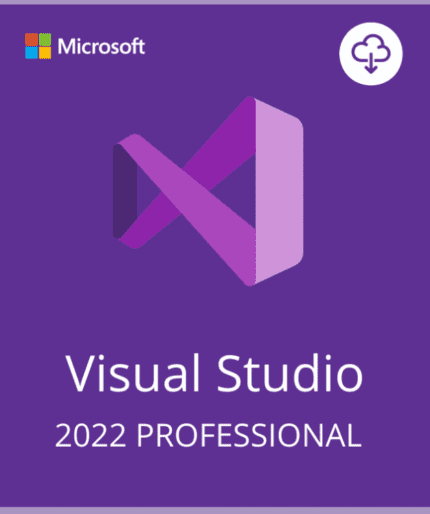 Visual Studio 2022 Professional