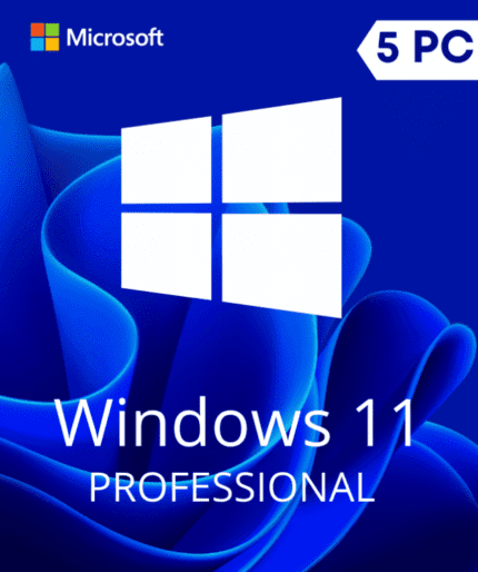 Windows 11 Professional