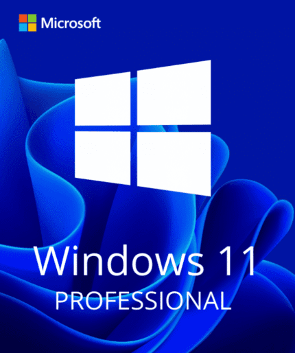 Windows 11 Professional