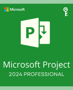 Project Professional 2024 – (PC)