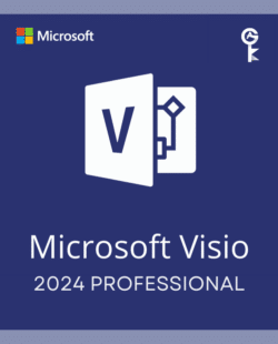 Visio Professional 2024